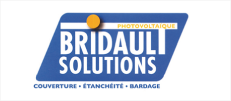 Logo Bridault Solutions